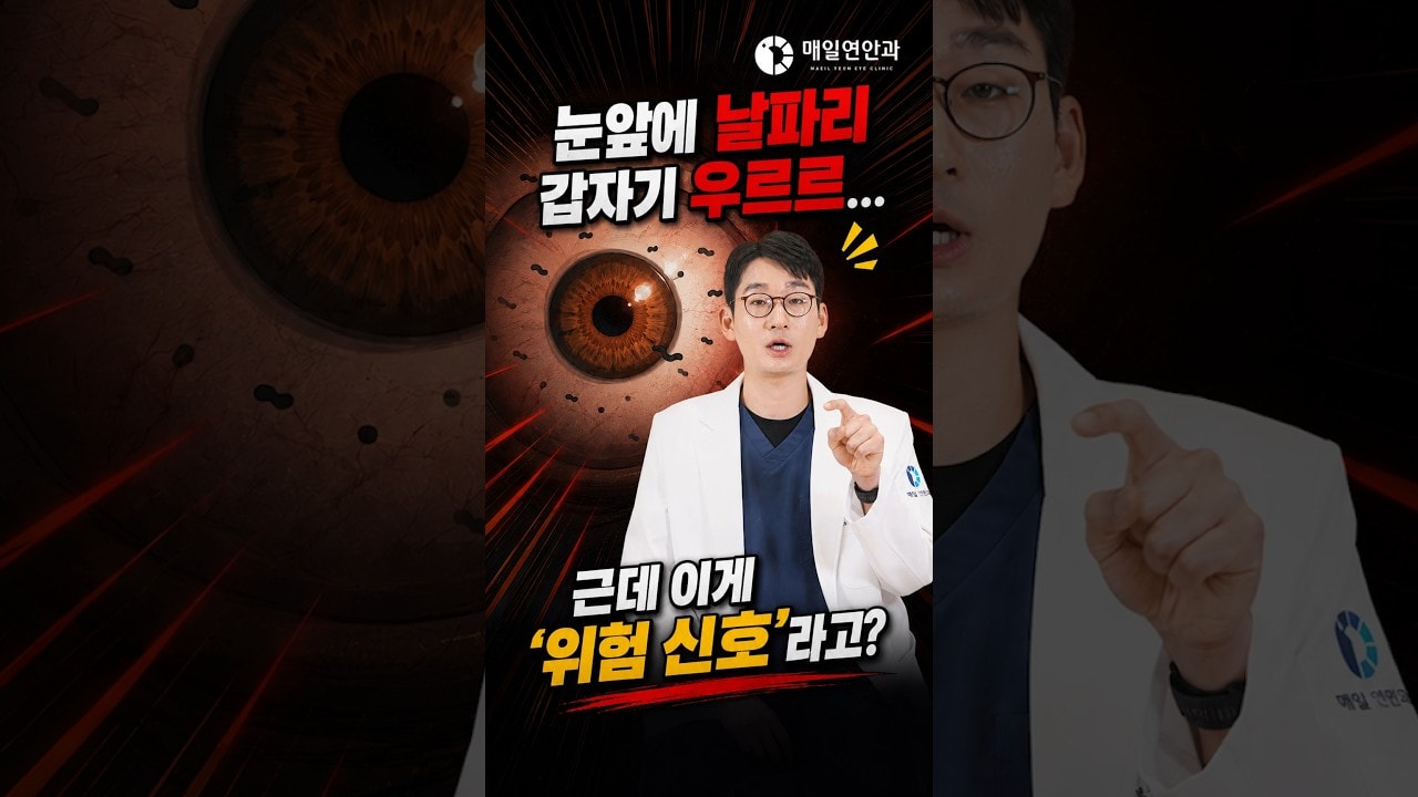 눈앞에 날파리가 갑자기 우르르… 그냥 두면 안 되는 이유